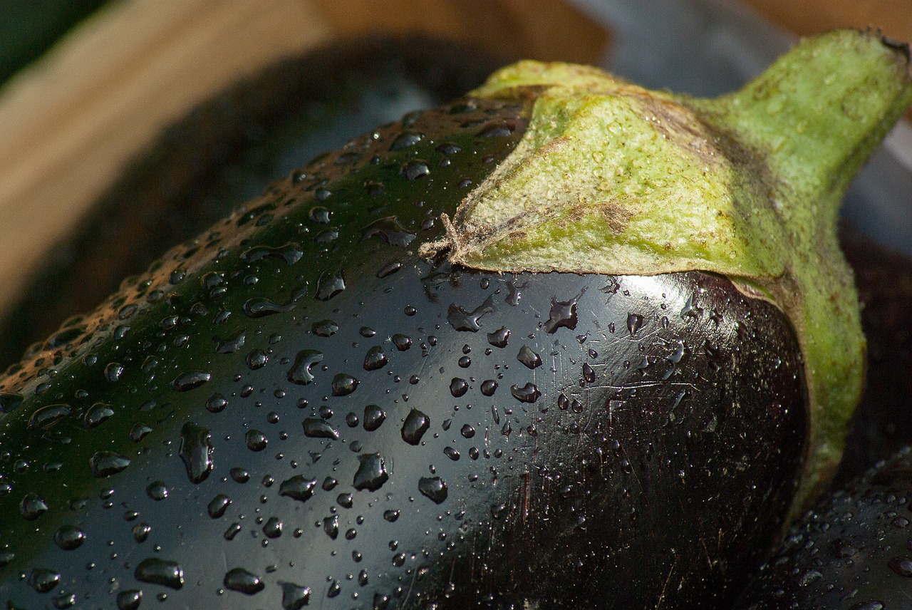 tartines d'aubergine